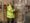 60,000 sqft of Additional Warehousing Space Secured in South Wales